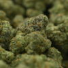 Yacht Club loose - Chem I95