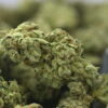 GG4