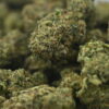 Seed Junky – Blue Zushi x Sour Diesel
