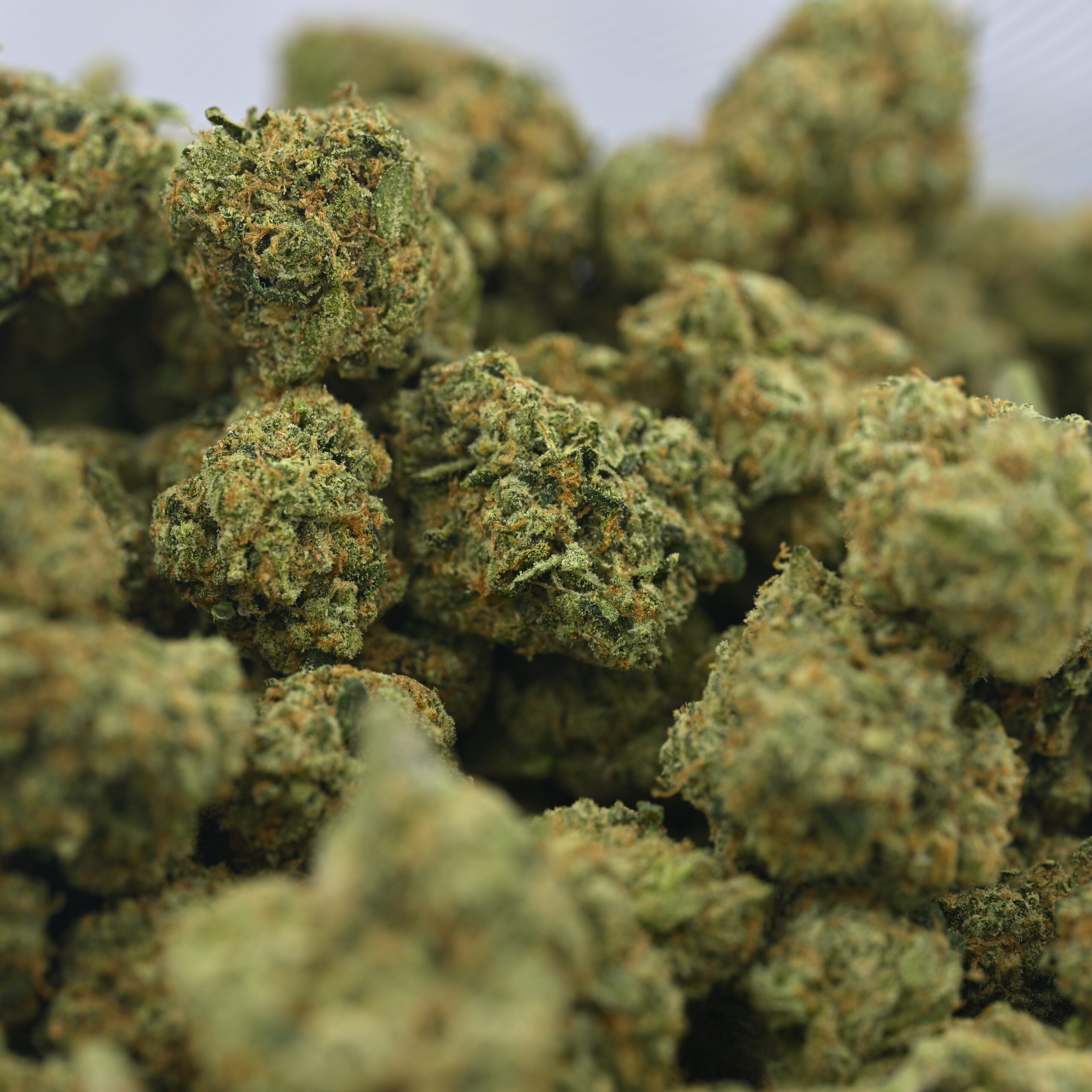 XXX OG