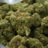 Doja- Lime sickle