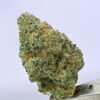 Yacht Club loose - Chem I95