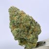 Yacht Club loose - Chem I95