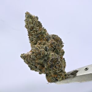 Crunch Berriez