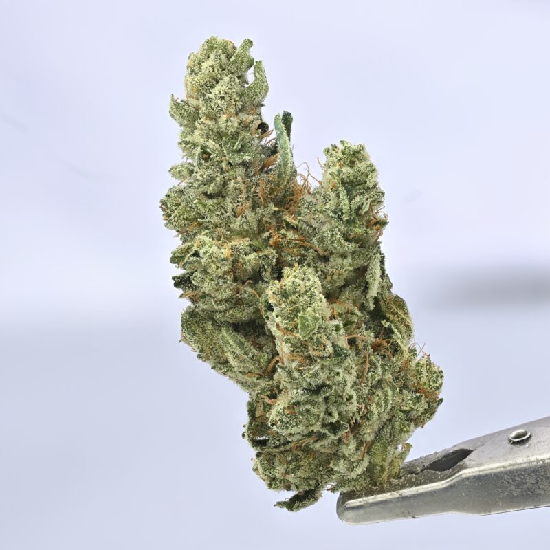 GG4