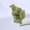 GG4