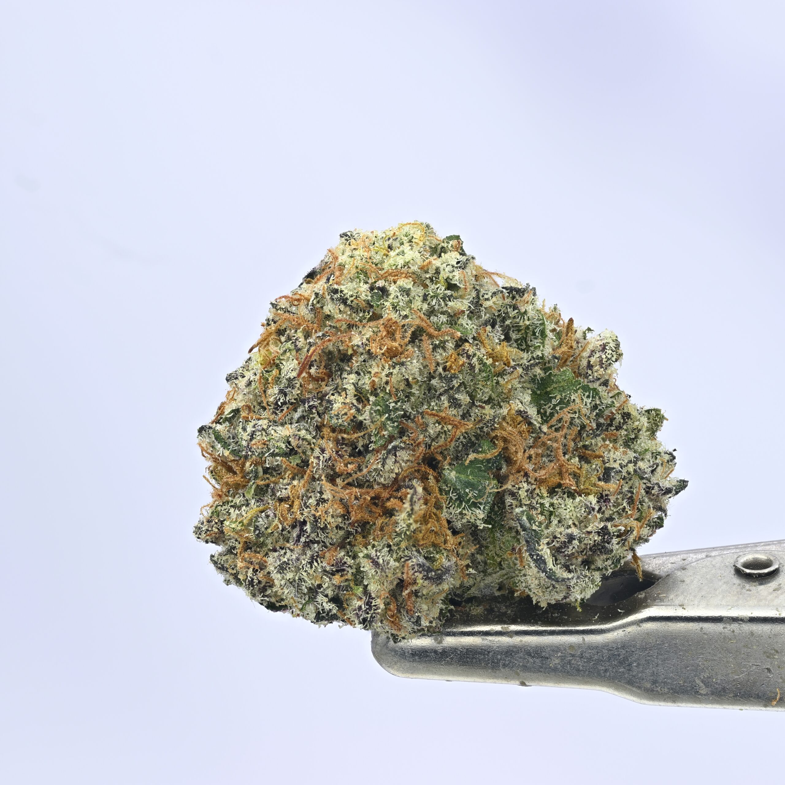 Nebula – Jaw Breaker