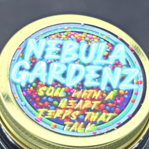 Nebula - Jaw Breaker