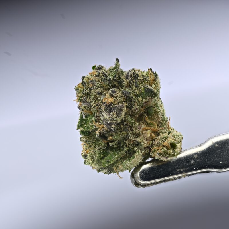 Seed Junky – Sherb x Malibu x Zkittlez Smalls