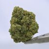 Yacht Club loose - Skywalker OG