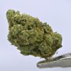 Yacht Club loose - Skywalker OG