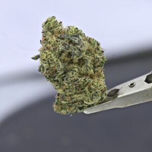 Sour Blueberries