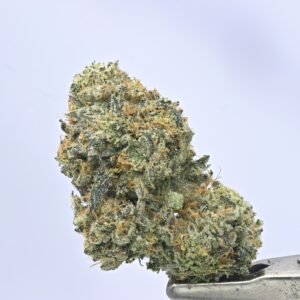 Nebula – Sour Watermelon Z