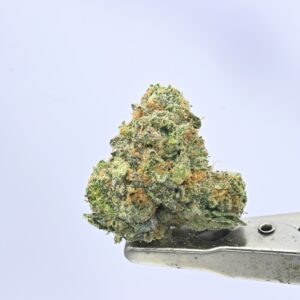 Nebula – Sour Watermelon Z