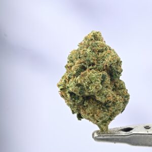 XXX OG by Cadre Vedre