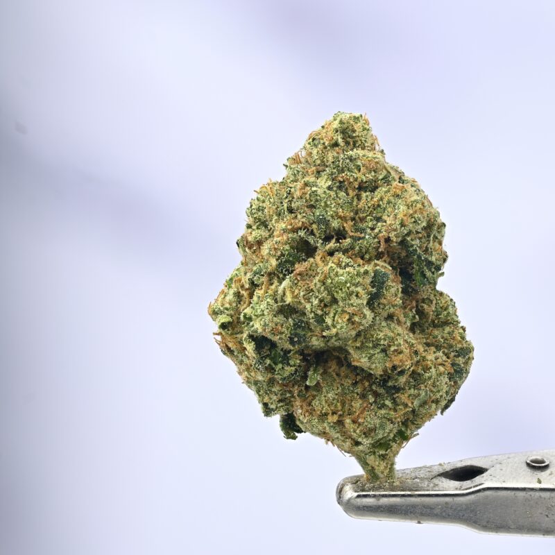 XXX OG