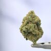 XXX OG by Cadre Vedre