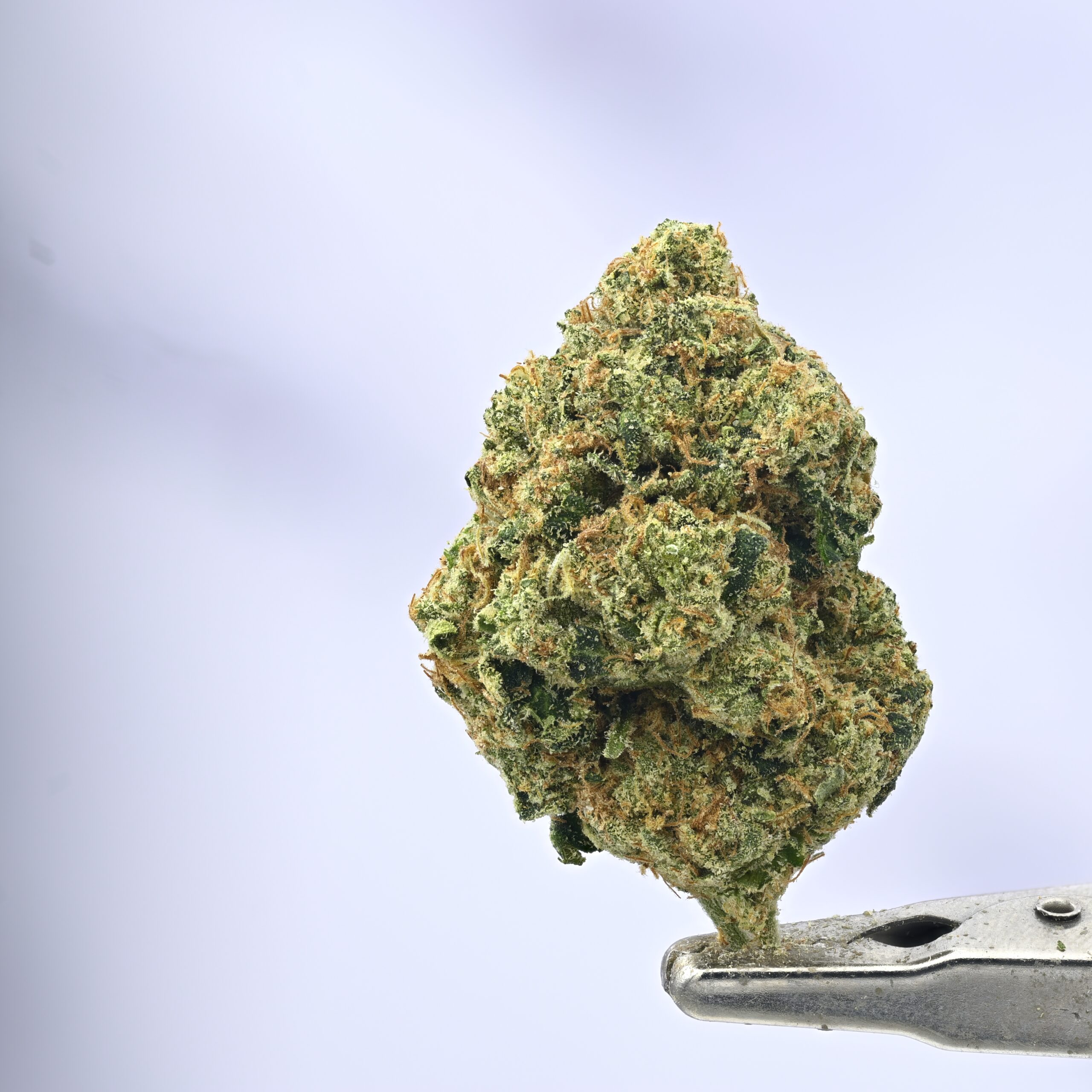 XXX OG
