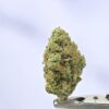XXX OG by Cadre Vedre