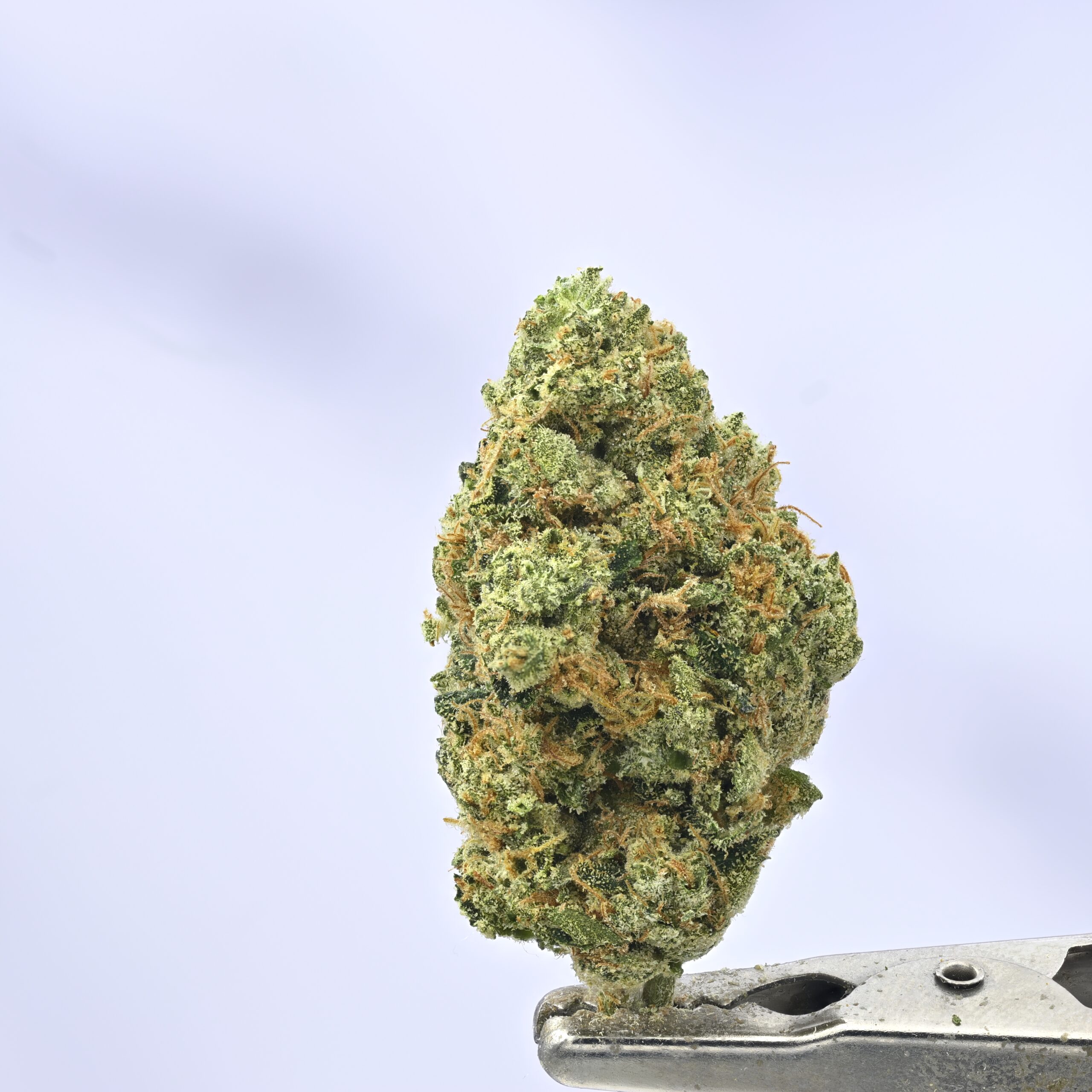 XXX OG