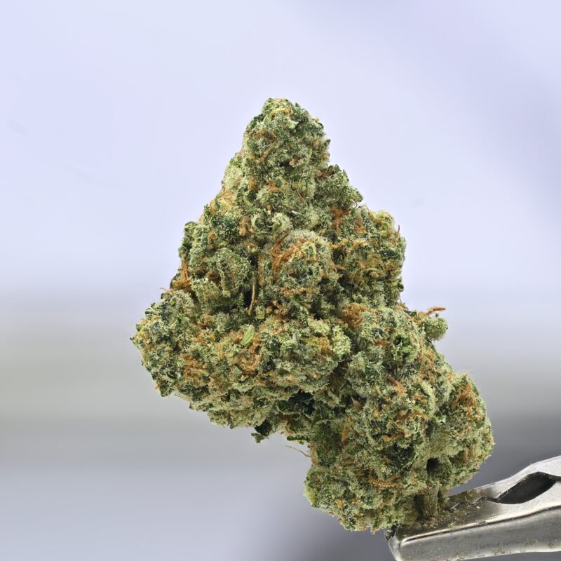 Preferred Gardens Durban Poison