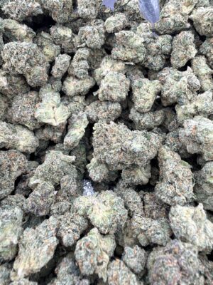 Toad Venom Mediums