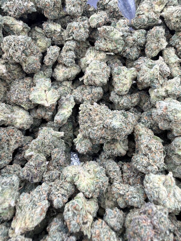 Toad Venom Mediums