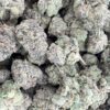 Seed Junky Zkittlez x Marker x Animal