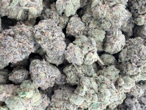 Seed Junky Zkittlez x Marker x Animal