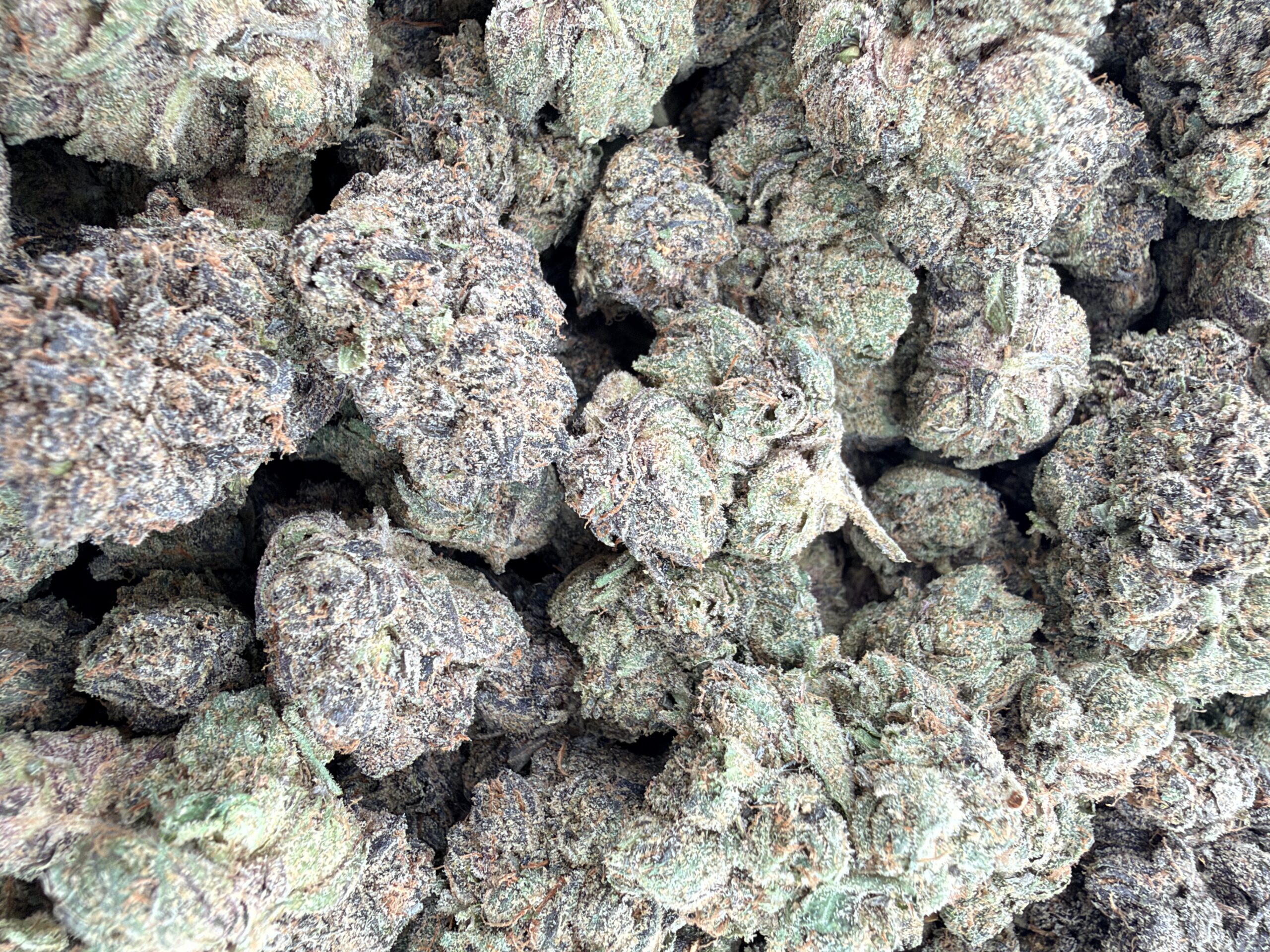 Seed Junky Zkittlez x Marker x Animal