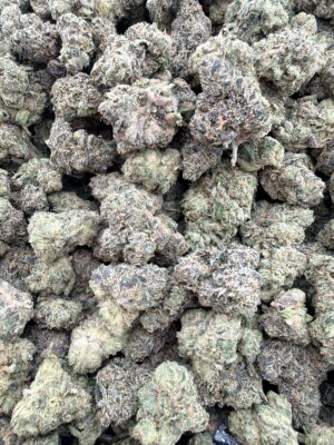 Seed Junky Perm Marker x Giraffe Pu$$y