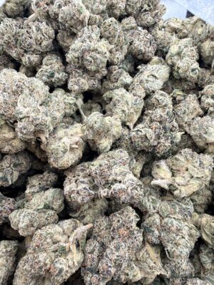 Seed Junky LCG BX1