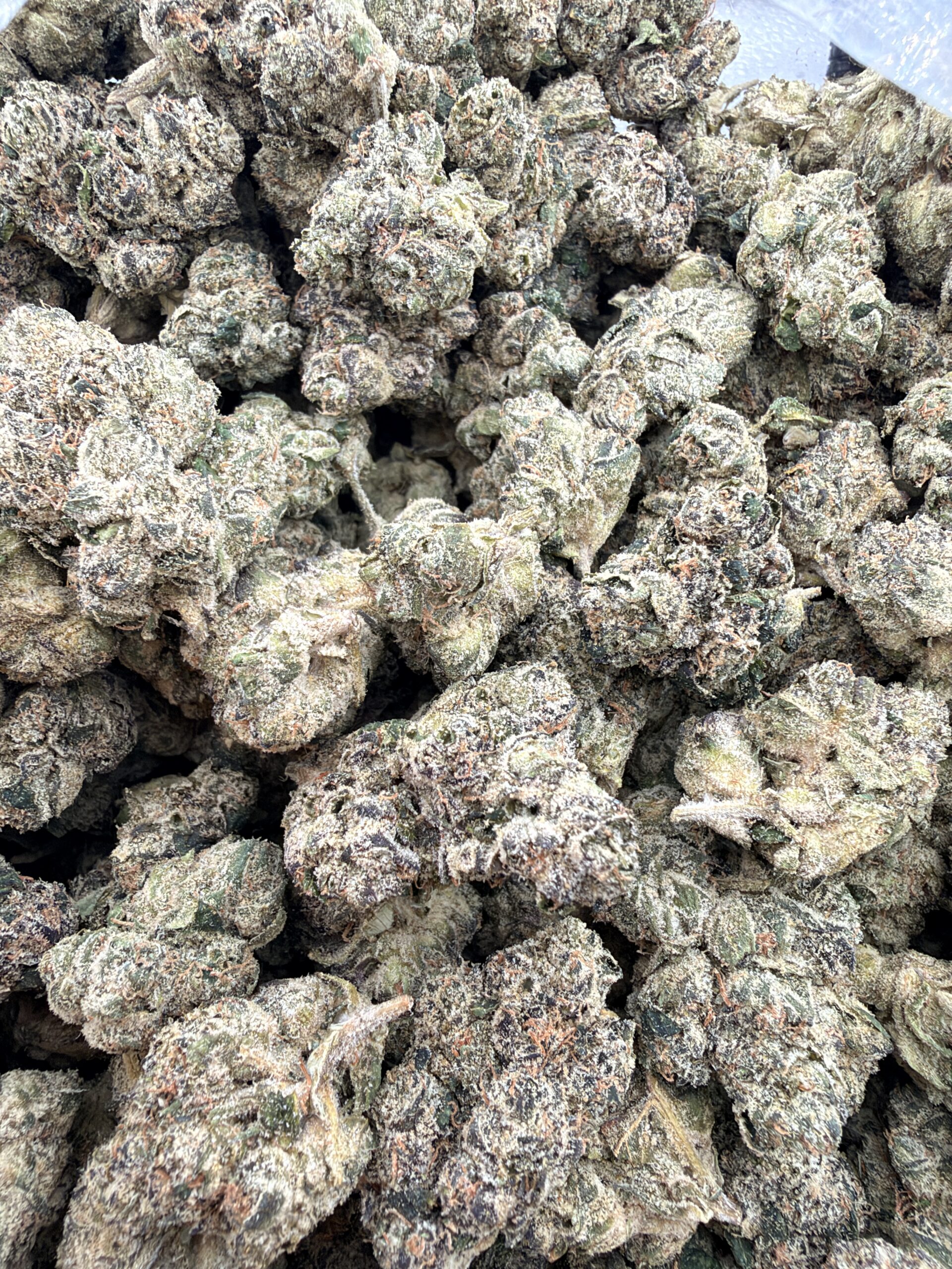 Seed Junky LCG BX1