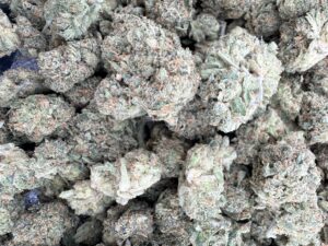 Seed Junky - Original Giraffe Pu$$y