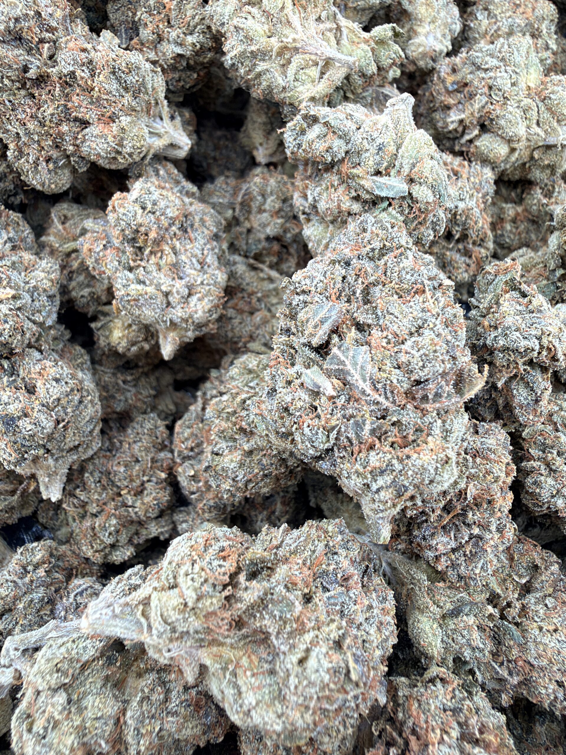 Legend OG