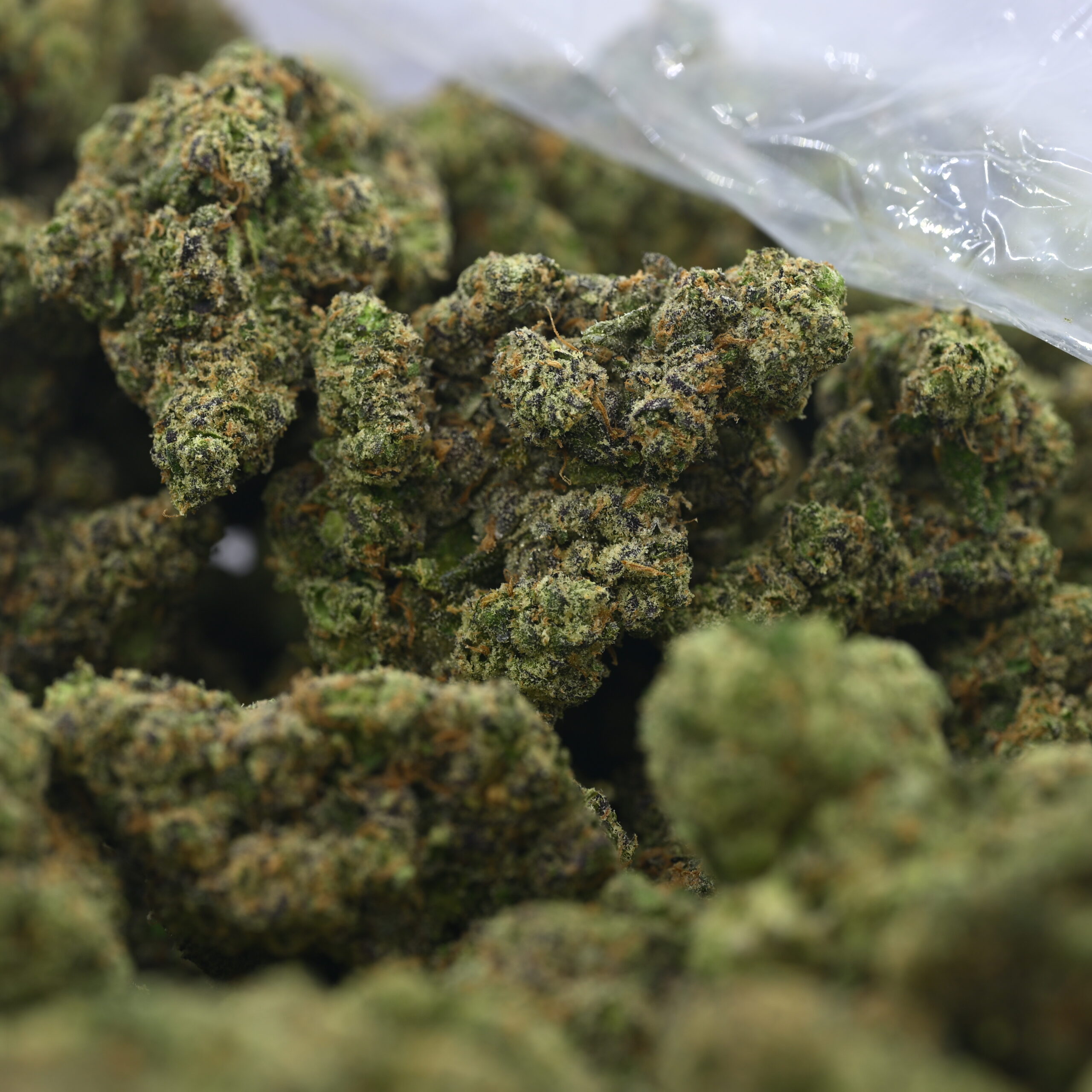 Zour Bubblez