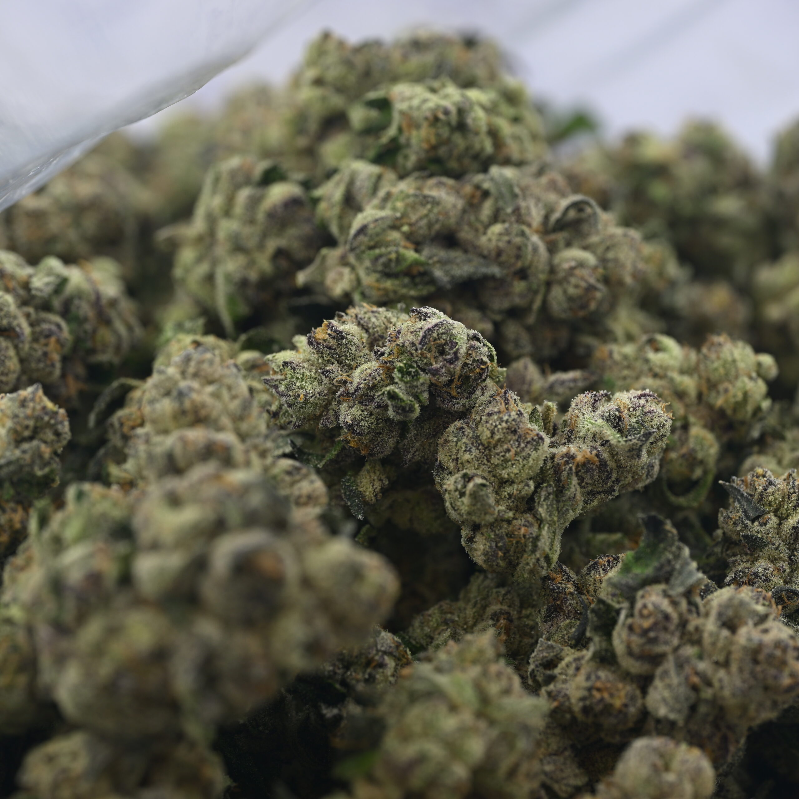 HOF – Zour Caviar