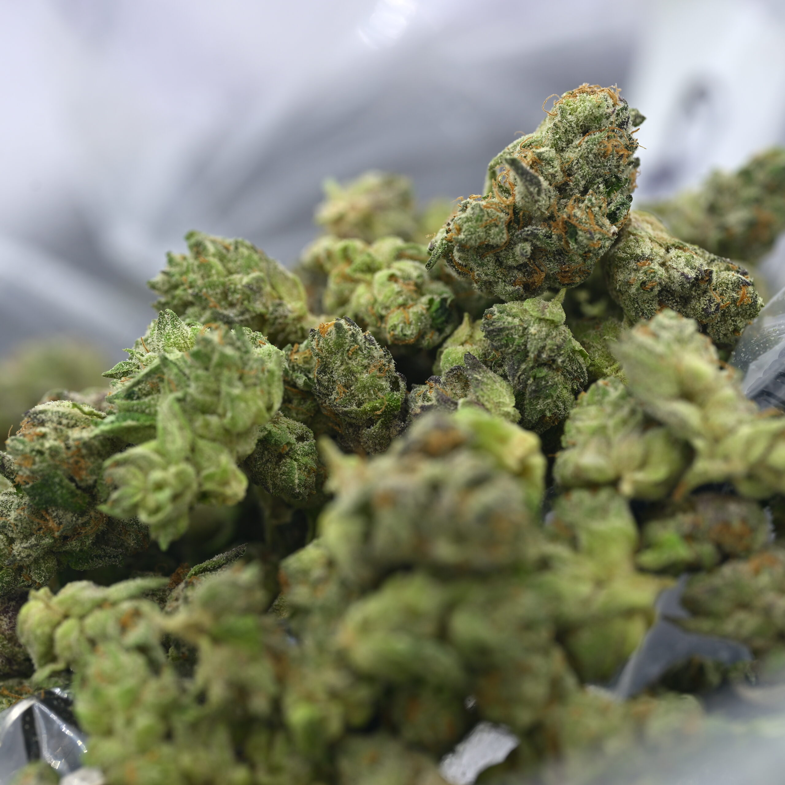 Teds Buds Smalls – Uncrustablez