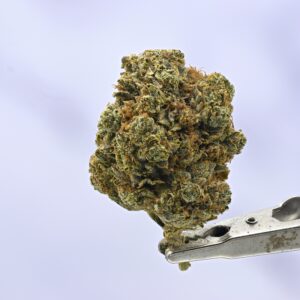 Legend OG