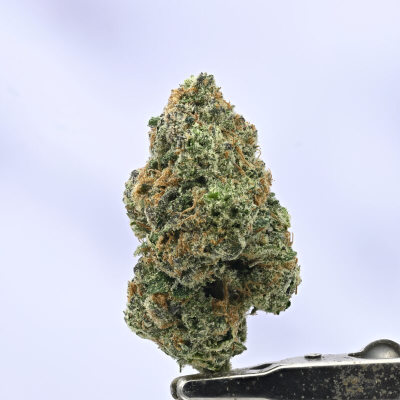 Blueberry Sugar