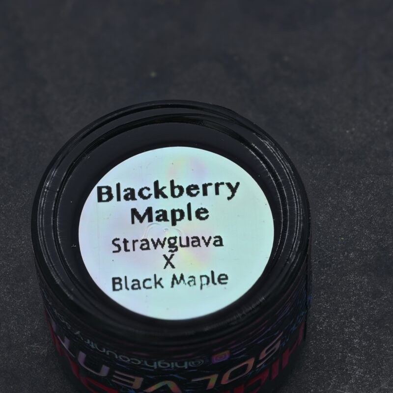 HCS – Blackberry Maple