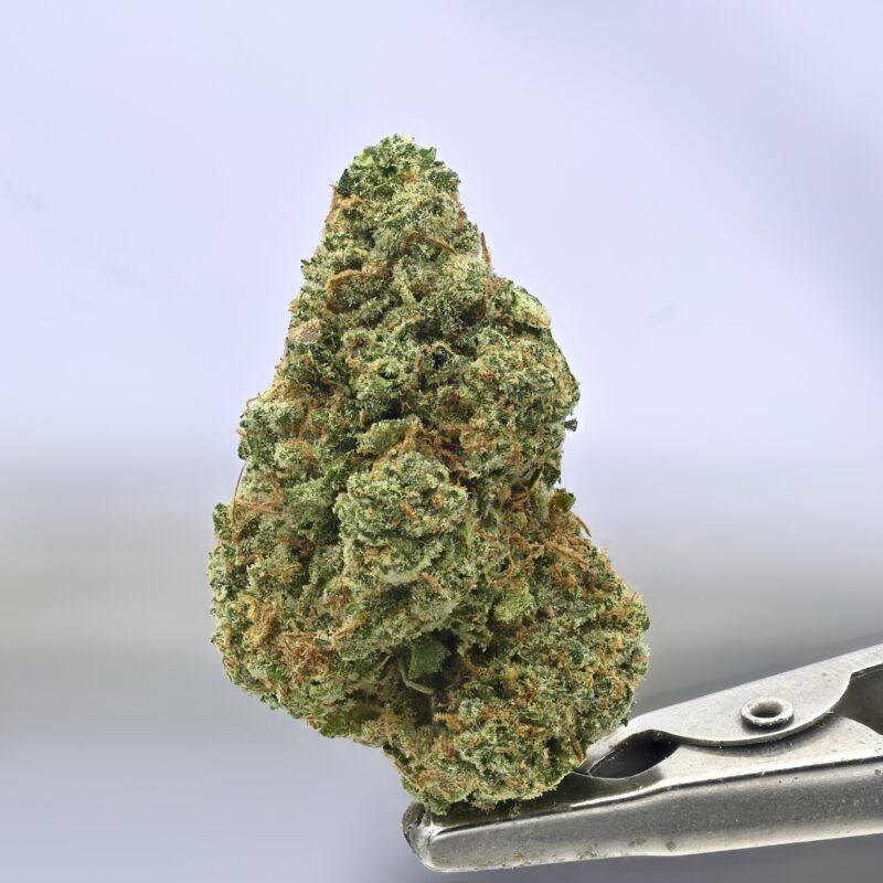 Preferred Gardens Durban Poison