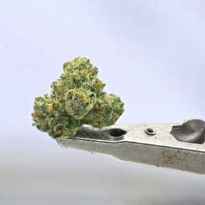 Preferred Gardens - Gushers Smalls