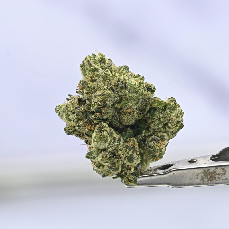 Seed Junky LCG BX1