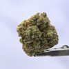 Legend OG