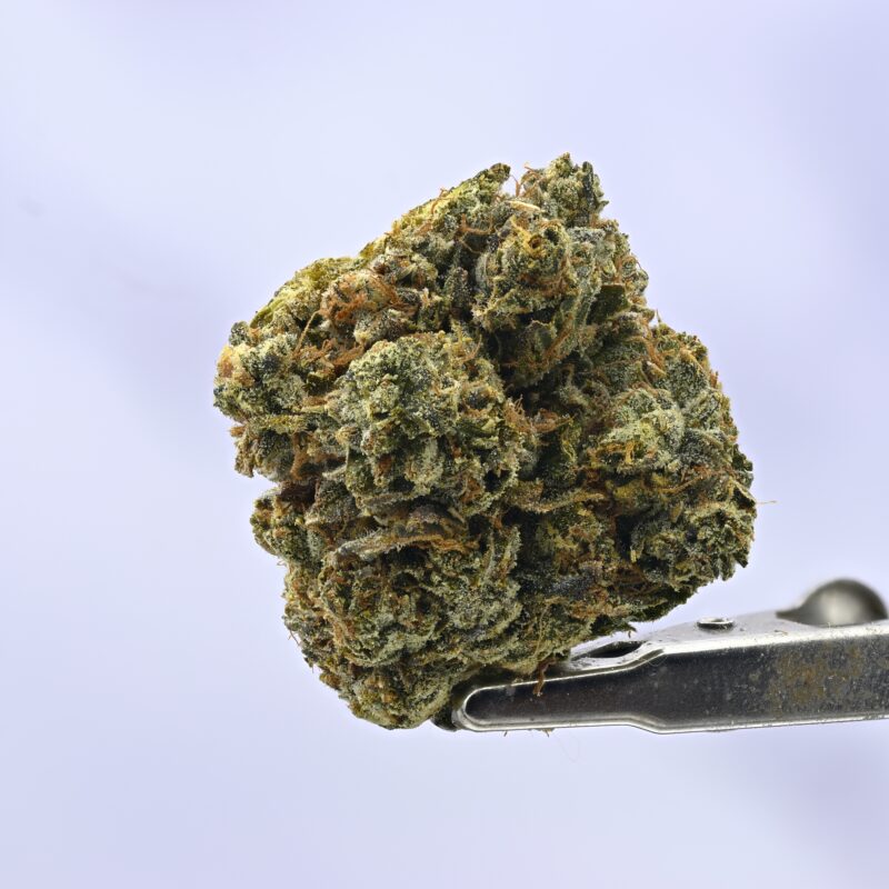 Legend OG