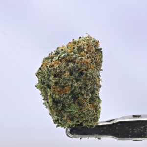 Nebula Gardenz Loose - Mochi