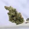 Mule Fuel