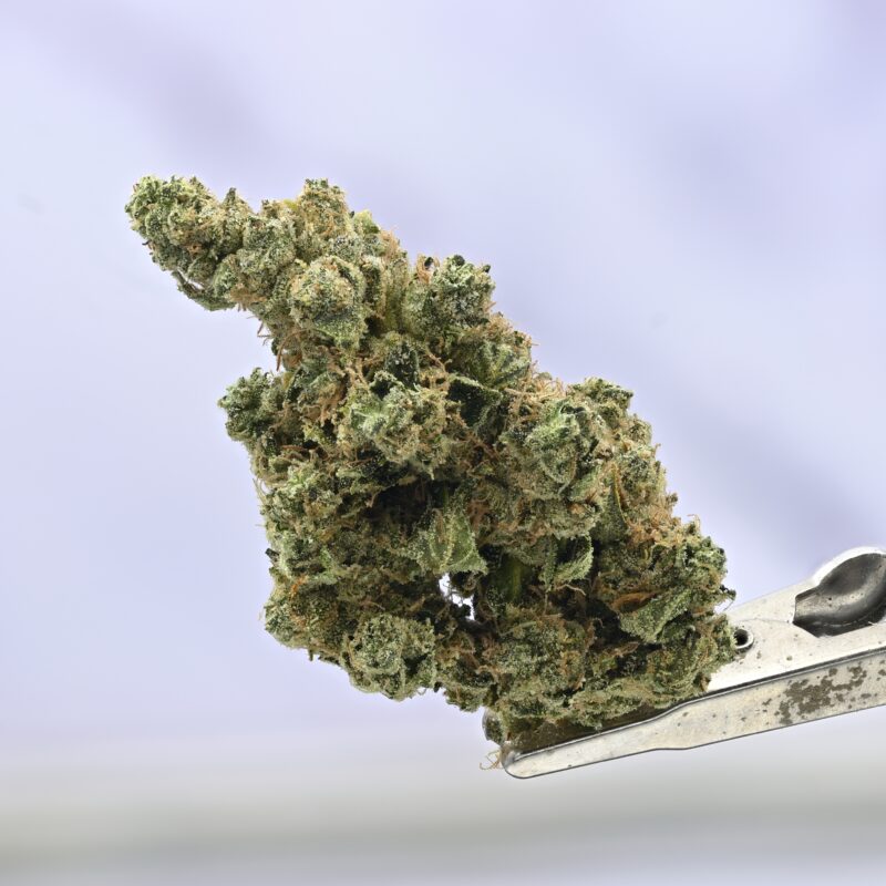 Mule Fuel