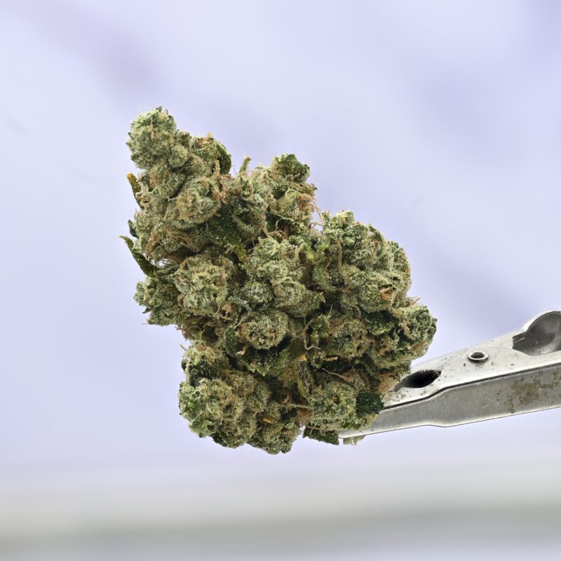 Mule Fuel